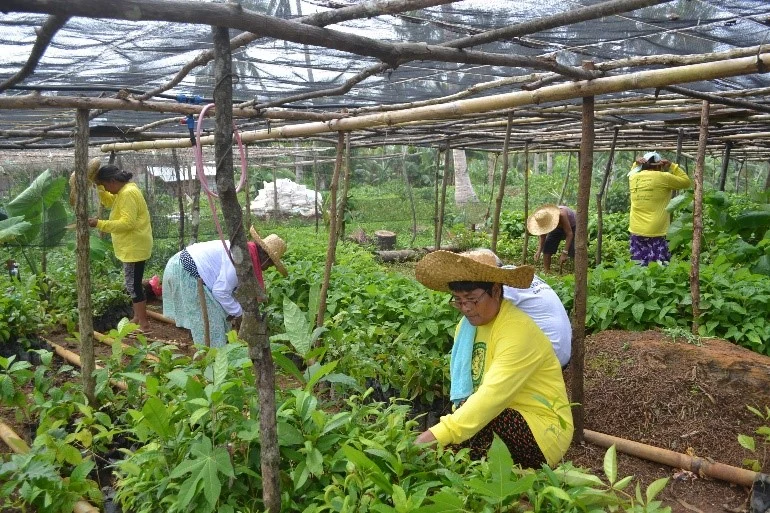 Philippines: One Year Post-Yolanda — AMURT field report