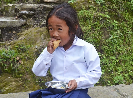 Nepal earthquake response 2015-2017 — AMURT field report