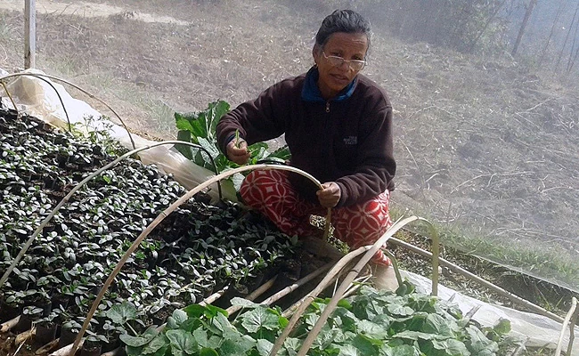Women’s recovery after Nepal earthquake — AMURT project photograph